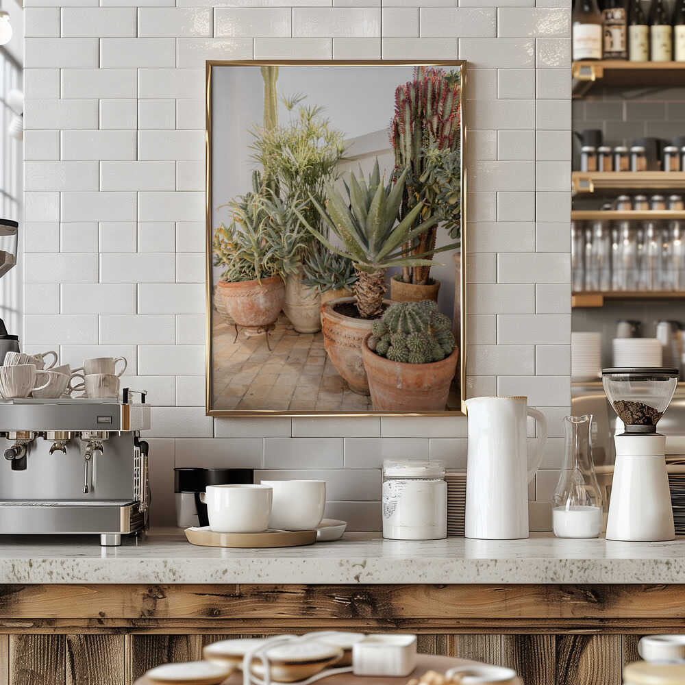 Garden with Various Potted Succulents and Cacti Poster