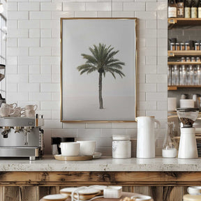Palm Poster