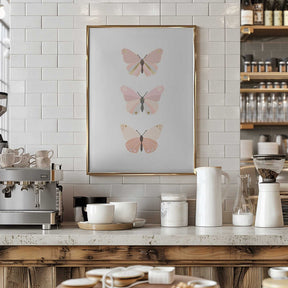 Butterfly 4 Poster