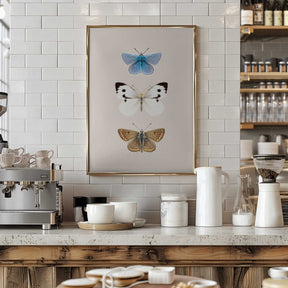 English Butterlies 2 Poster