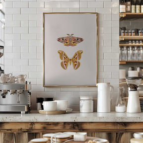 Moths Poster