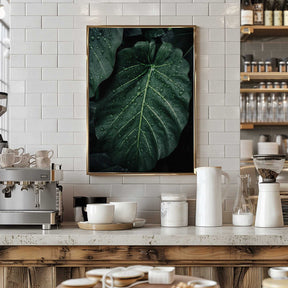 Rain Kissed Leaves Poster