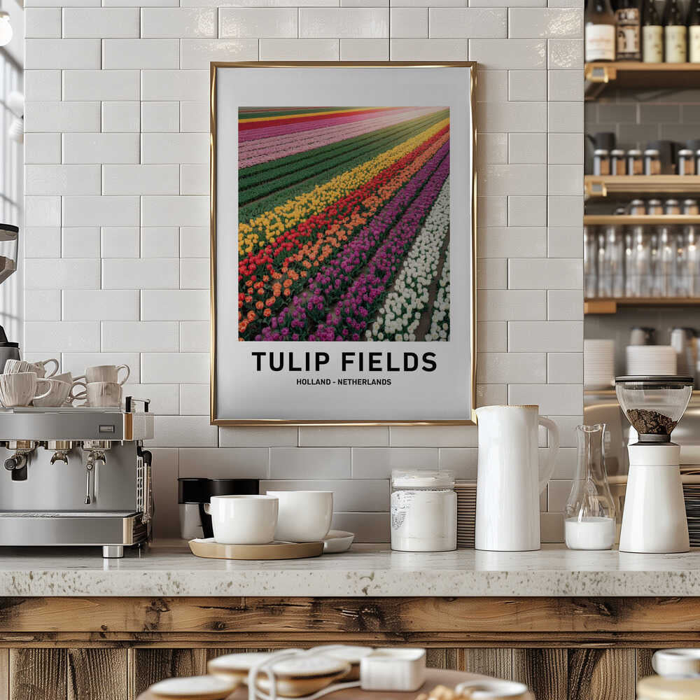 Tulip Fields Poster
