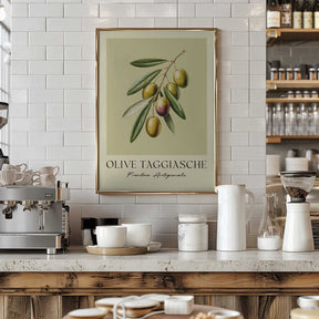 Olive Taggiasche Poster