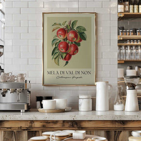 Mela Di Val Di Non Poster