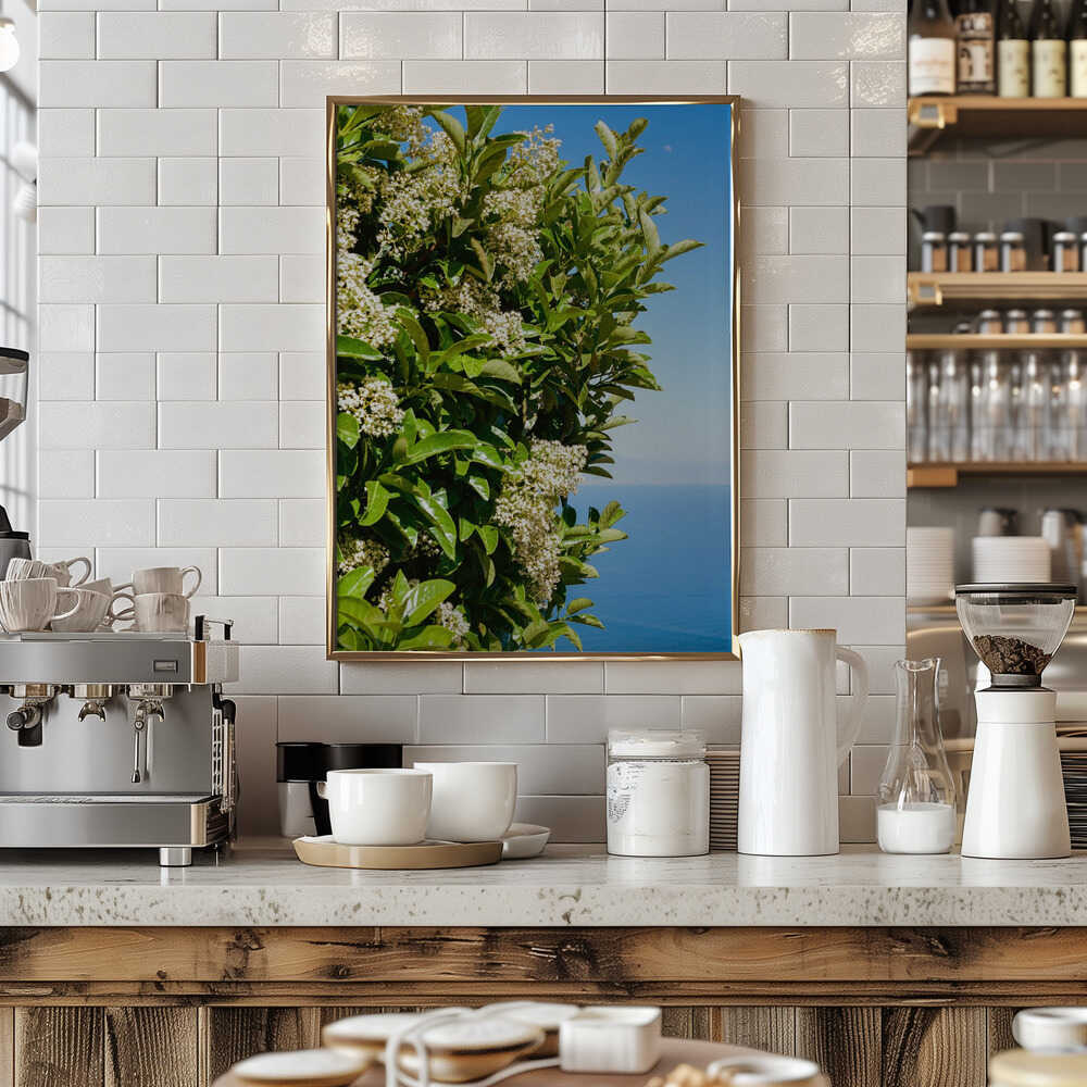 Amalfi Coast Flowers IV on Film Poster