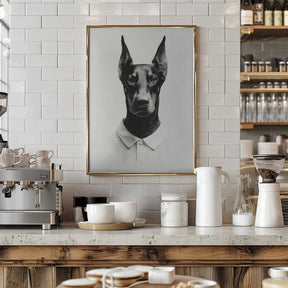 Doberman In Polo Shirt Poster
