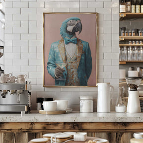 Parrot In Gala Jacket Poster