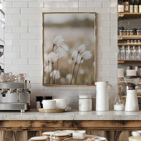 Cotton Grass - Eriophorum Poster