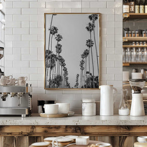 Palm Alley Poster