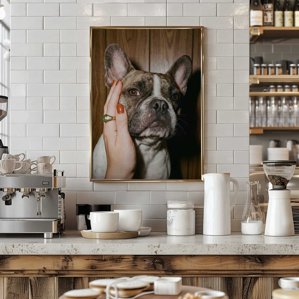 Petting a Frenchie Poster