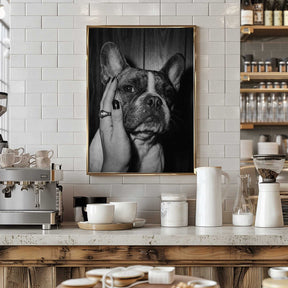 Petting a Frenchie Poster