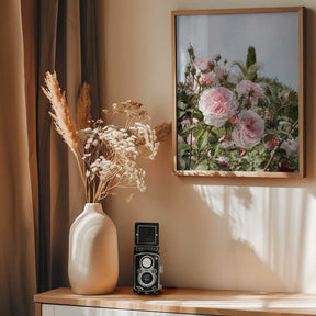 Garden Roses Poster