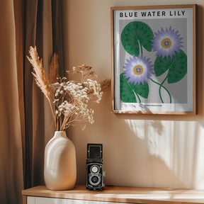 Blue Water Lily - National flower of Sri Lanka Poster