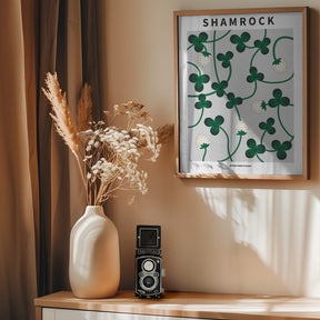 Shamrock - National flower of Ireland Poster
