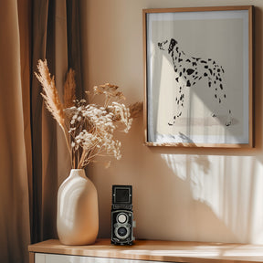 Pandc Dalmation Poster