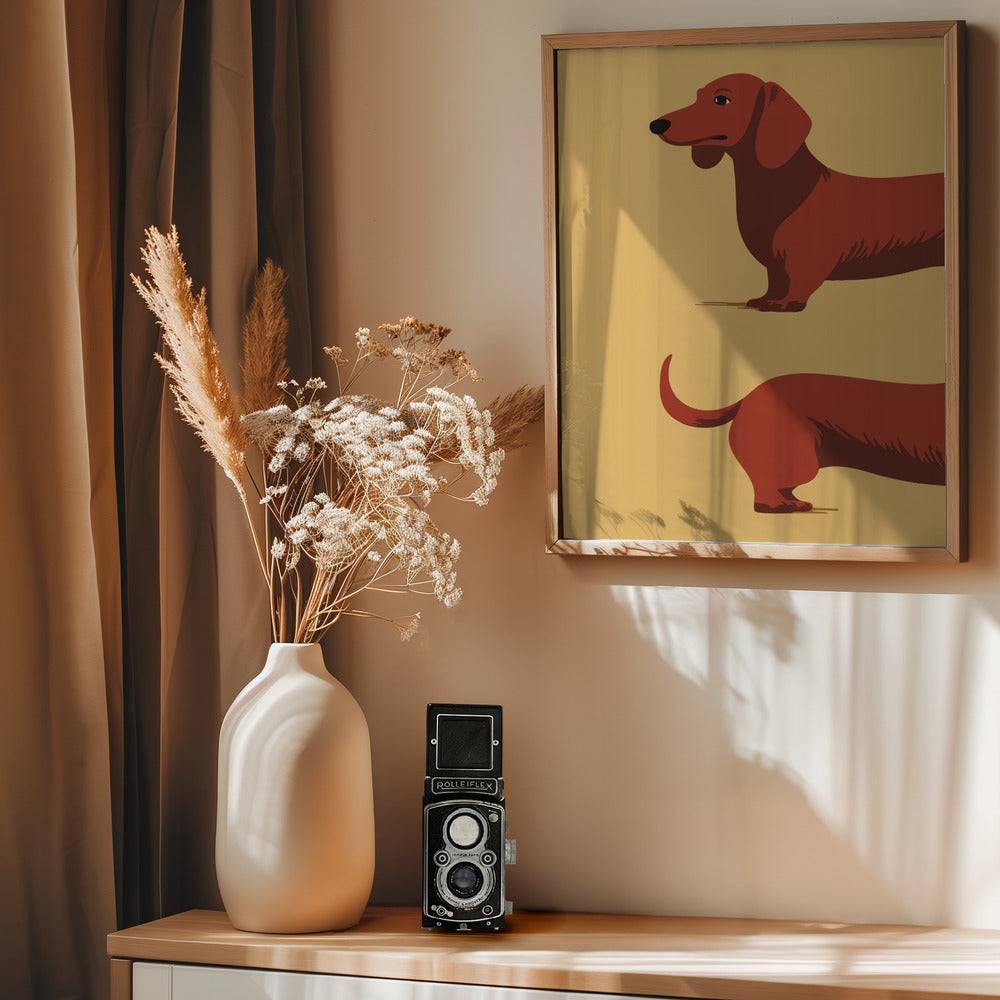 Dachshund Poster