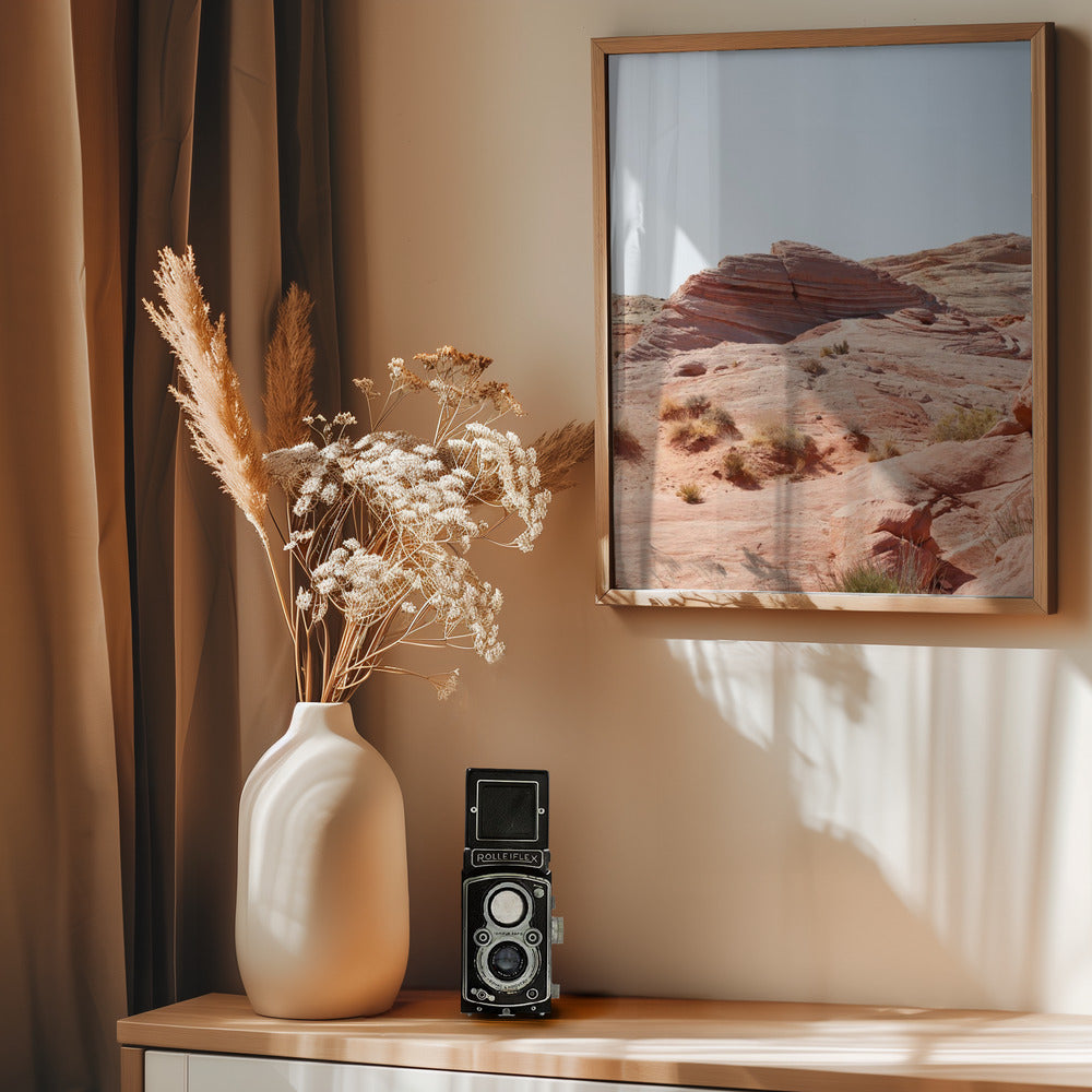 Valley of Fire Poster