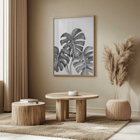 Monstera leaves in loose watercolor bw Poster