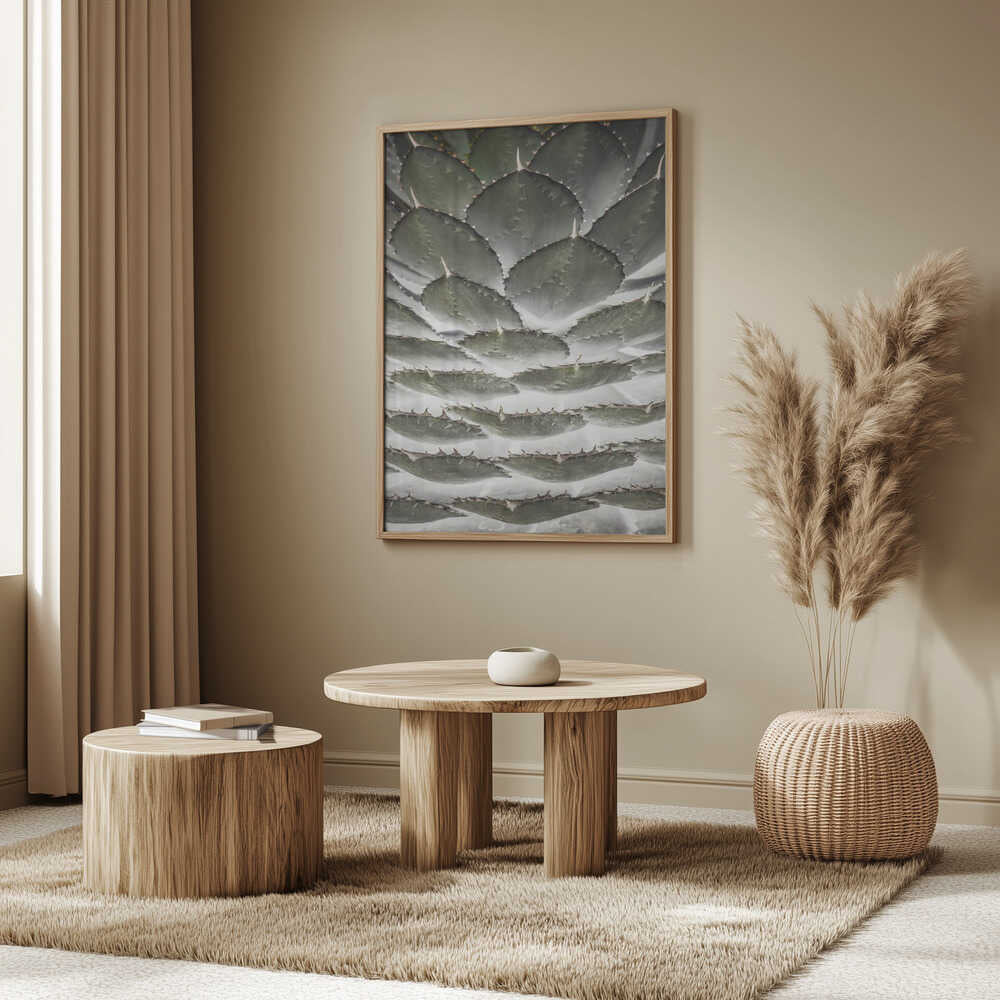Spiral Succulent Poster