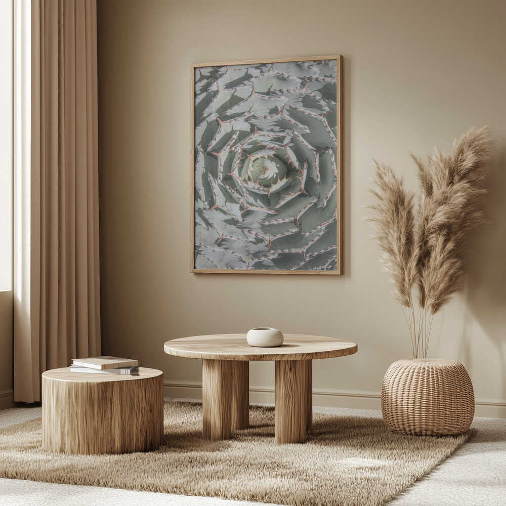 Spiral Succulent Maze Poster