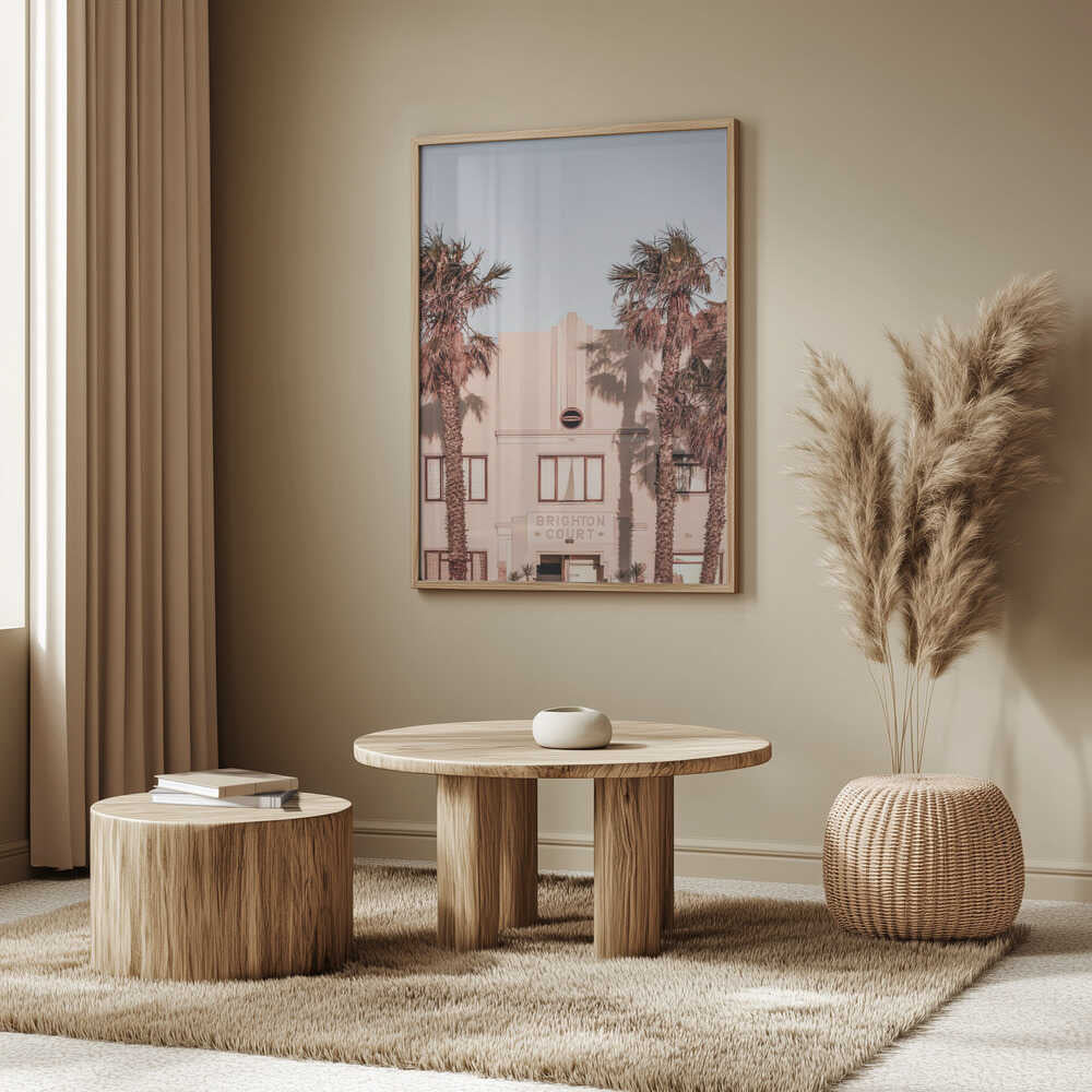 Palm Shadows Poster