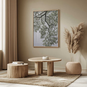 Ethereal Canopy Poster
