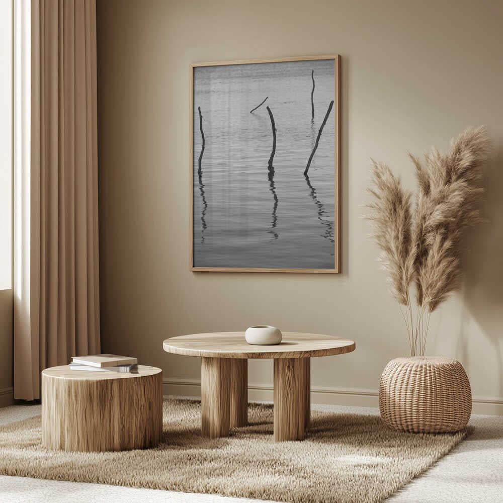 Silent Reflections Poster