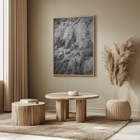 Black And White Photograph Poster
