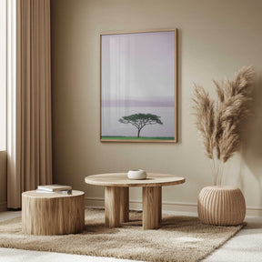 Tree By A Tranquil Lake Poster