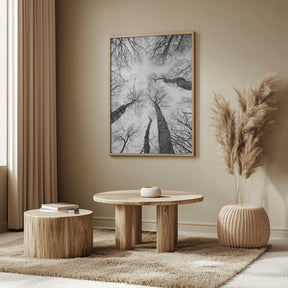 Reaching Branches Poster