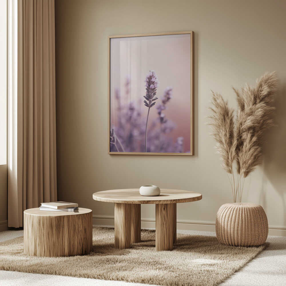 Lavender Serenity Poster