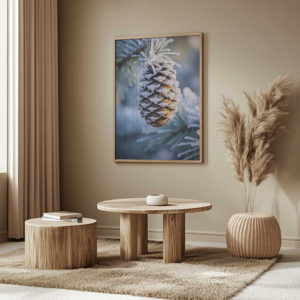 Frosty Pinecone Burst Poster