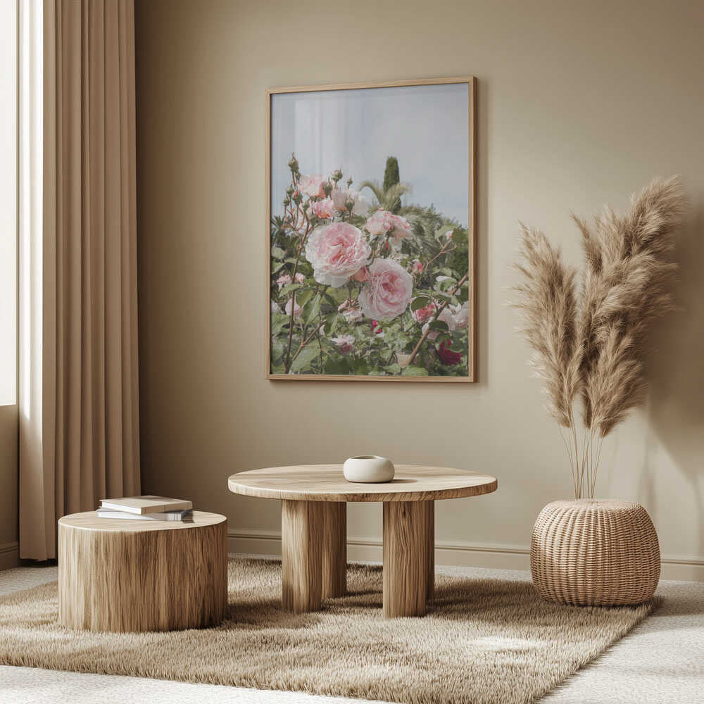 Garden Roses Poster