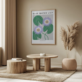 Blue Water Lily - National flower of Sri Lanka Poster
