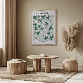 Shamrock - National flower of Ireland Poster