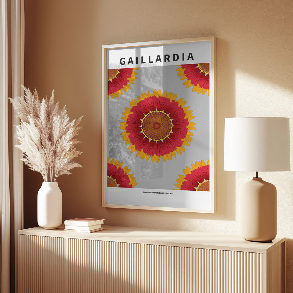 Gaillardia - National flower of Belgium Poster