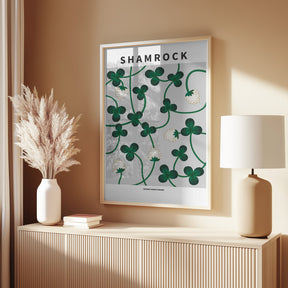Shamrock - National flower of Ireland Poster