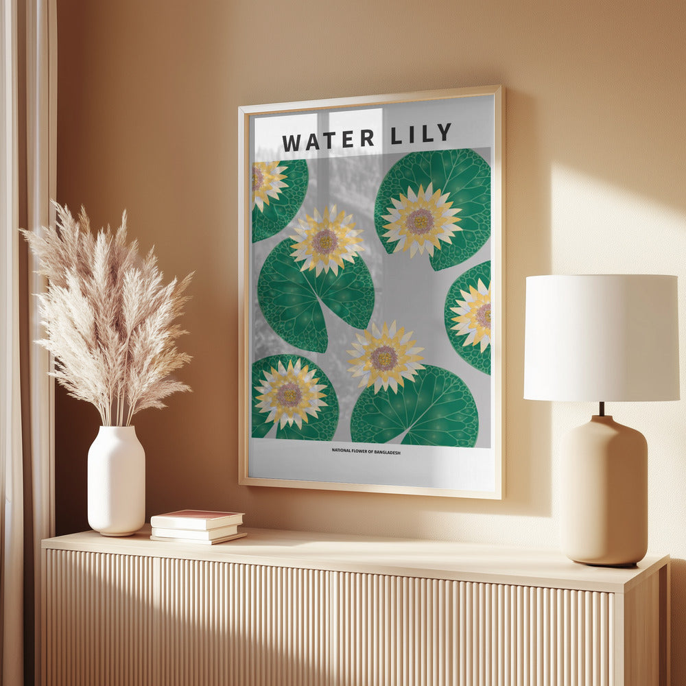 Water lily - National flower of Bangladesh Poster