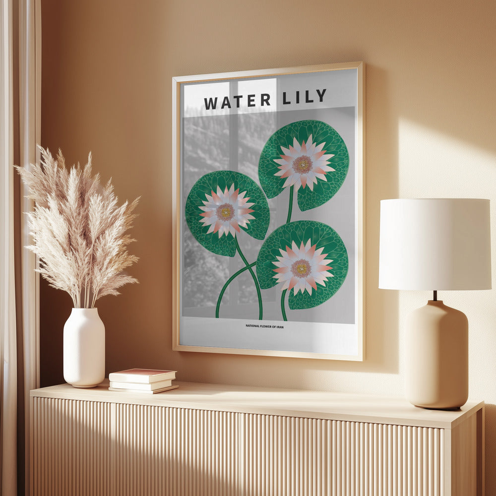 Water Lily - National flower of Iran Poster