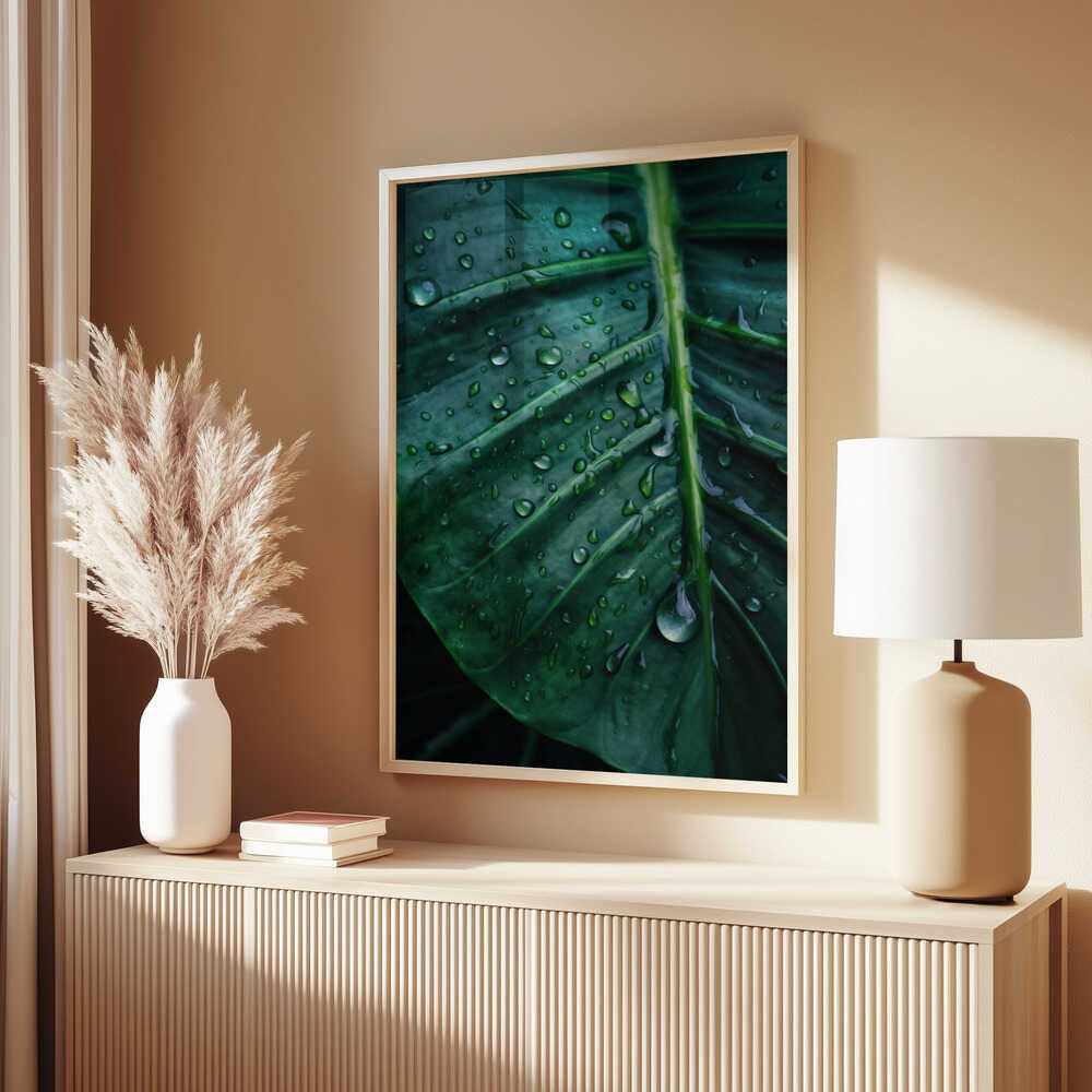 Rain Kissed Leaf Poster