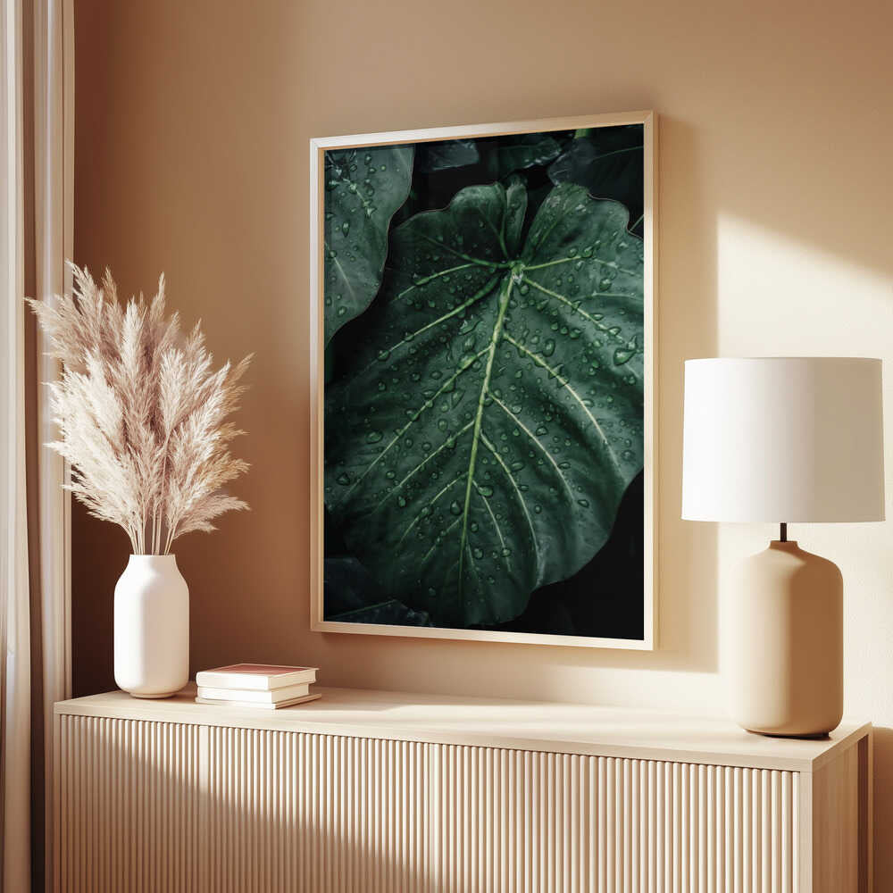 Rain Kissed Leaves Poster