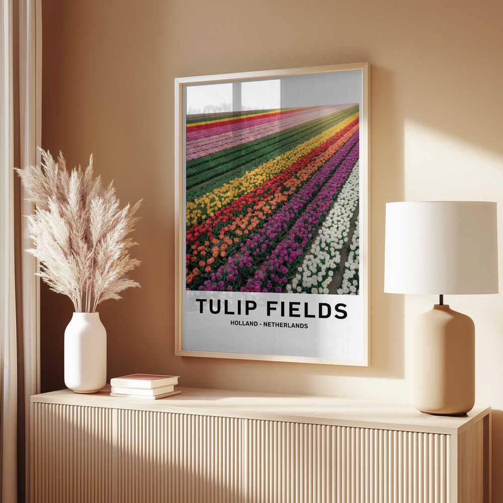 Tulip Fields Poster