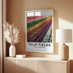 Tulip Fields Poster