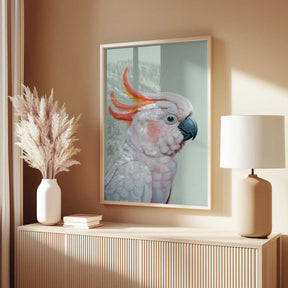 White Cockatoo No 1 Poster