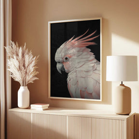 White Cockatoo No 2 Poster