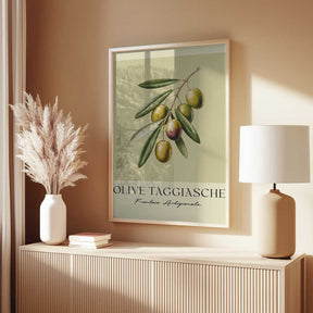 Olive Taggiasche Poster