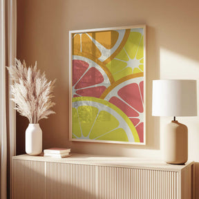Citrus Slices Poster