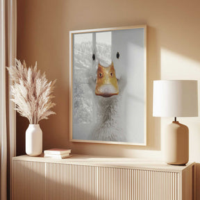 The White Duck Poster
