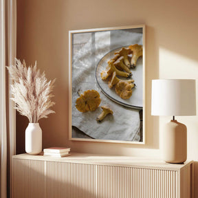Chanterelle Mushrooms Poster